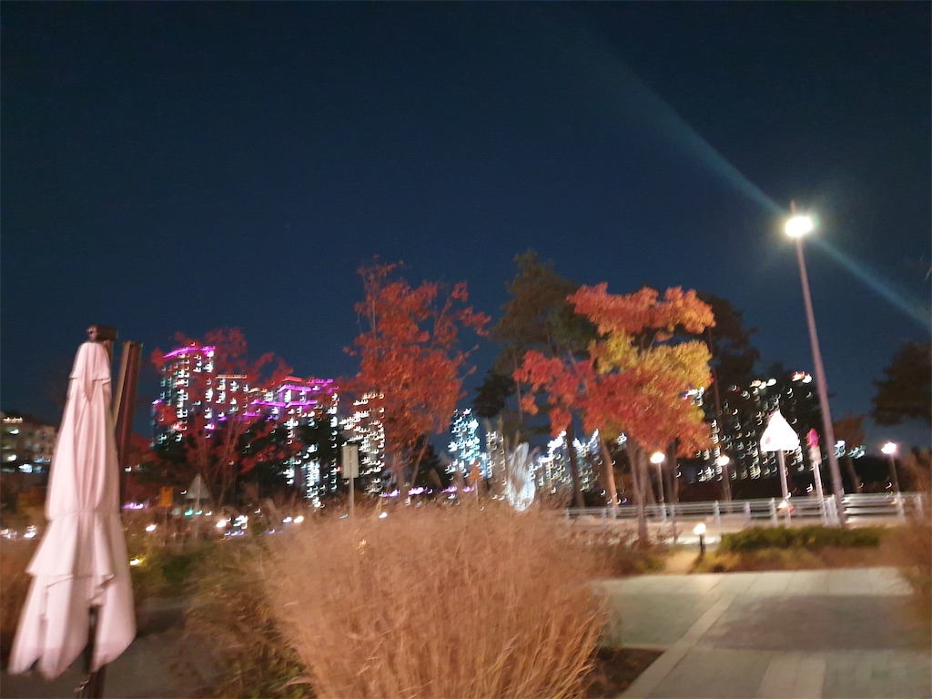 f:id:koronawashibaken:20201105185852j:image