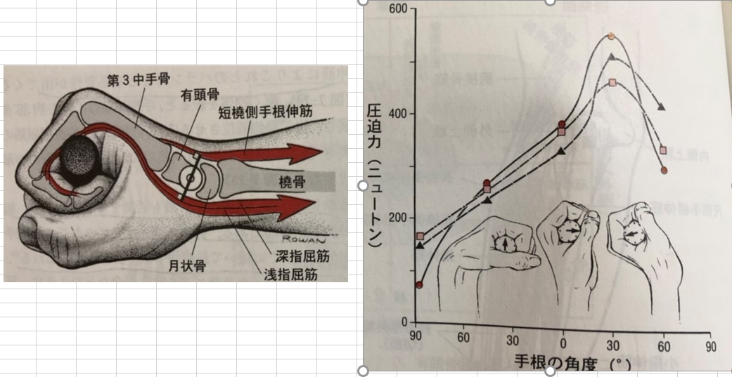 f:id:koronkushi:20190524202001p:plain
