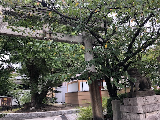 f:id:koronno:20190922204929j:image f:id:koronno:20190922204929j:image