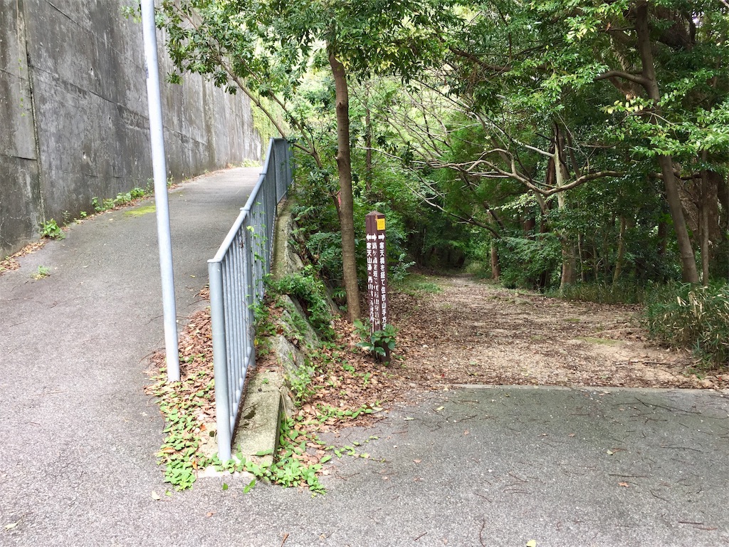 f:id:kororareka:20200930210200j:image