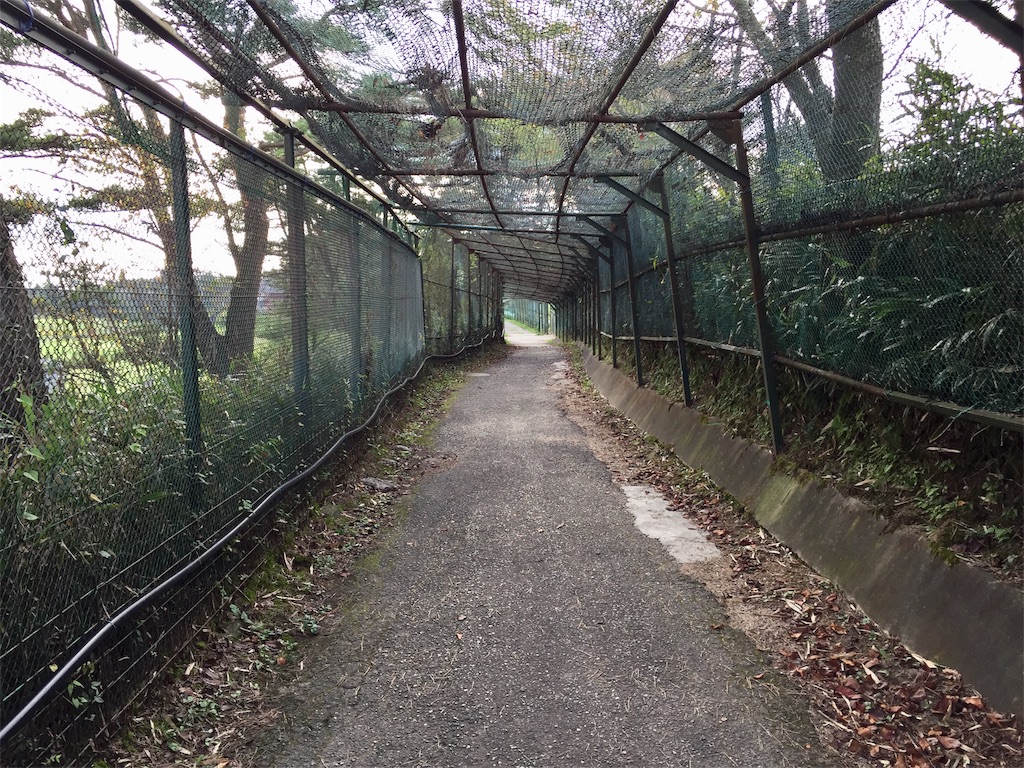 f:id:kororareka:20200930212133j:image