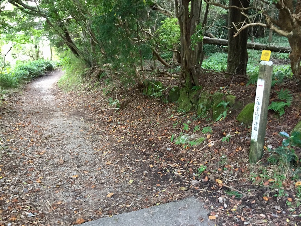 f:id:kororareka:20200930212144j:image
