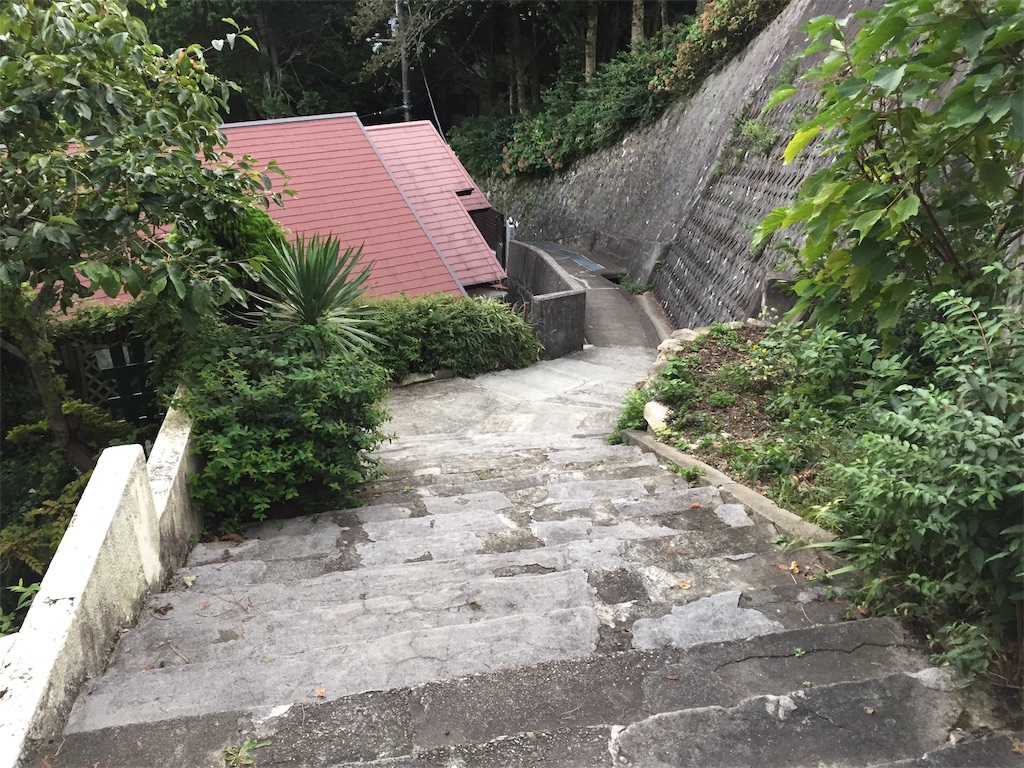 f:id:kororareka:20200930213324j:image