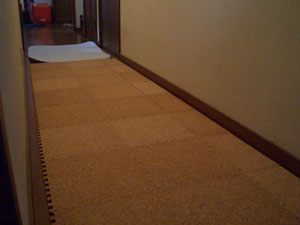 f:id:korotasukoro:20101118130925j:image