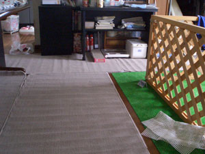 f:id:korotasukoro:20101118130939j:image