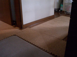 f:id:korotasukoro:20101118130940j:image