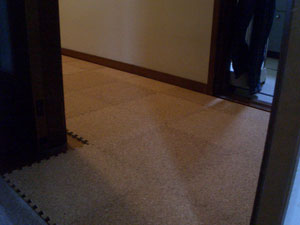 f:id:korotasukoro:20101118130941j:image