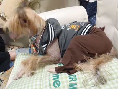 f:id:korotasukoro:20110526213041j:image