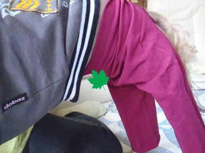 f:id:korotasukoro:20110526213048j:image
