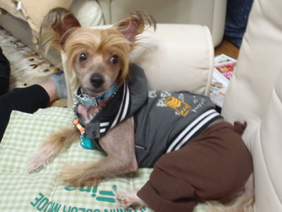 f:id:korotasukoro:20110526213050j:image