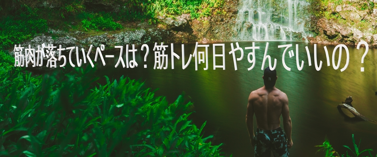 f:id:koroworkout:20191114130531j:plain