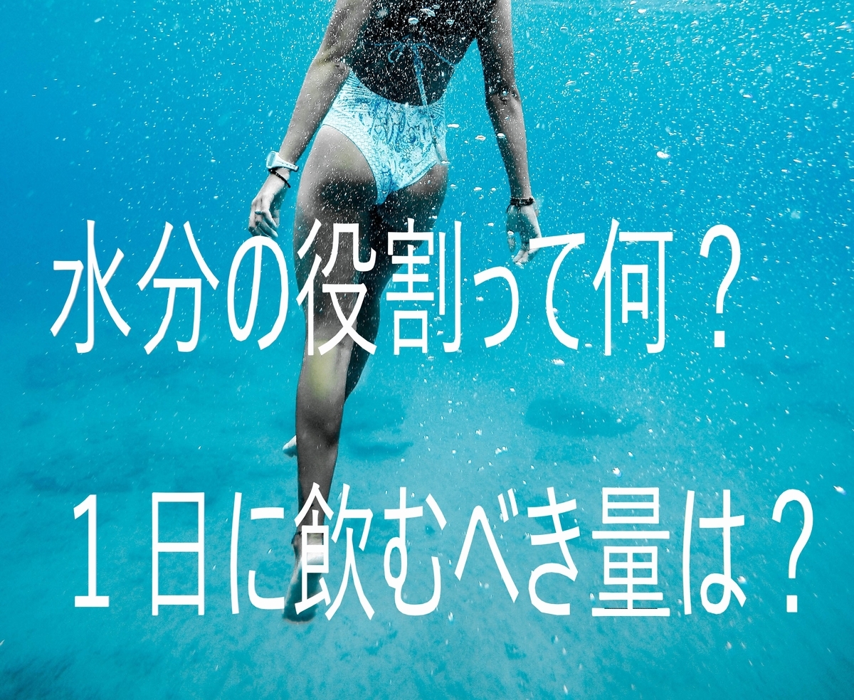 f:id:koroworkout:20191123021311j:plain