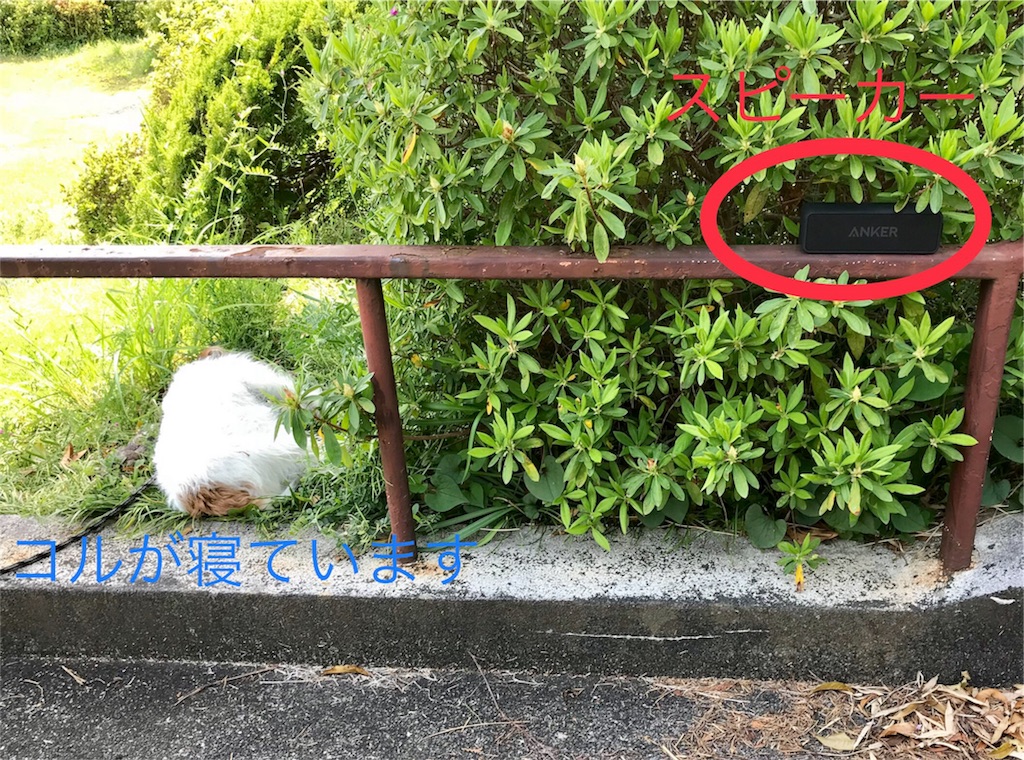 f:id:koru030:20180413164248j:image f:id:koru030:20180413164248j:image