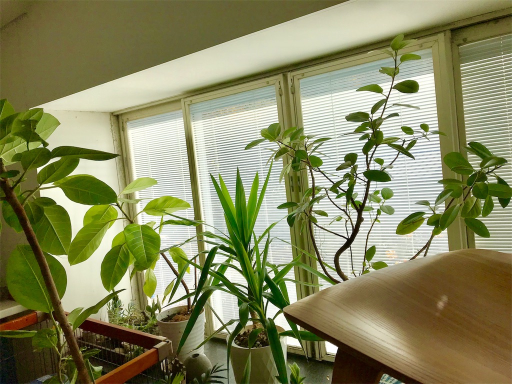 f:id:koru030:20180416154214j:image f:id:koru030:20180416154214j:image