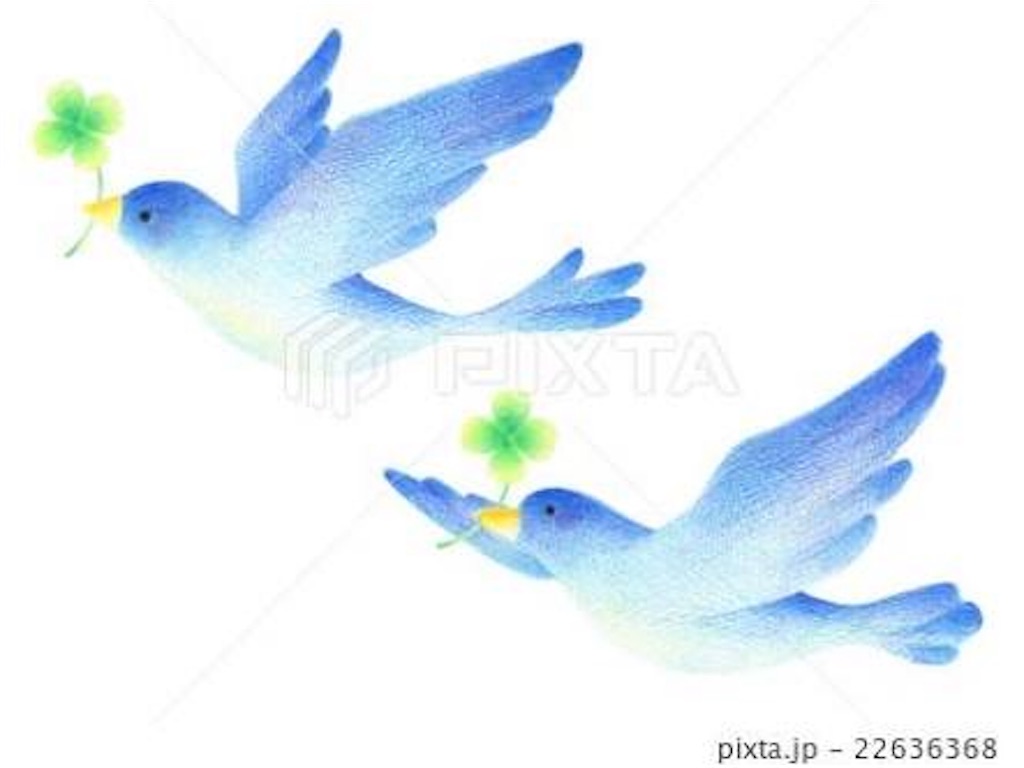f:id:koruda:20170924225918j:image