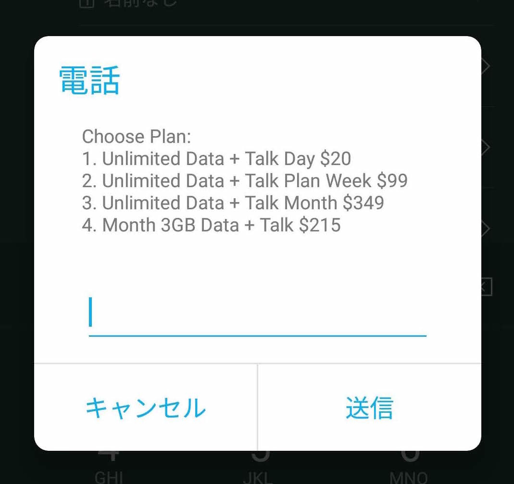 f:id:korurie:20190129072159j:plain
