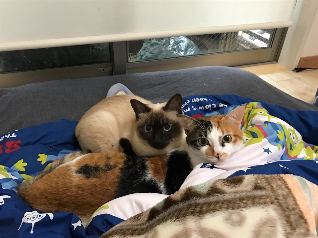 f:id:kosaku-tabi:20161101150041j:image f:id:kosaku-tabi:20161101150041j:image