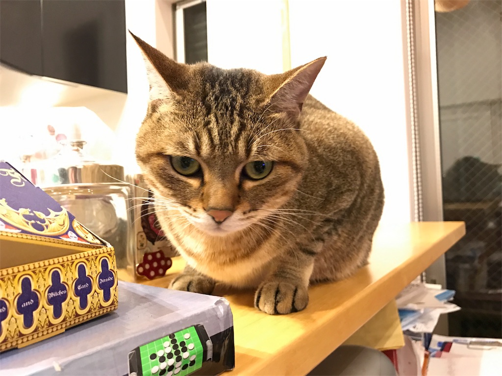 f:id:kosaku-tabi:20161101150102j:image f:id:kosaku-tabi:20161101150102j:image