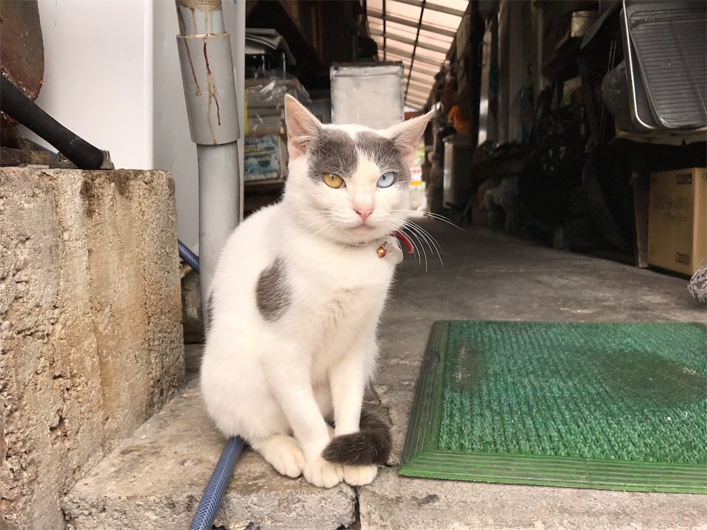 f:id:kosaku-tabi:20161101150243j:image f:id:kosaku-tabi:20161101150243j:image