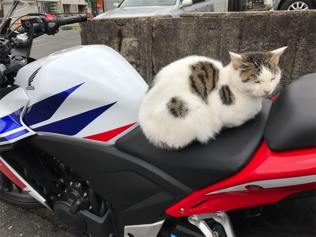 f:id:kosaku-tabi:20161101150347j:image f:id:kosaku-tabi:20161101150347j:image