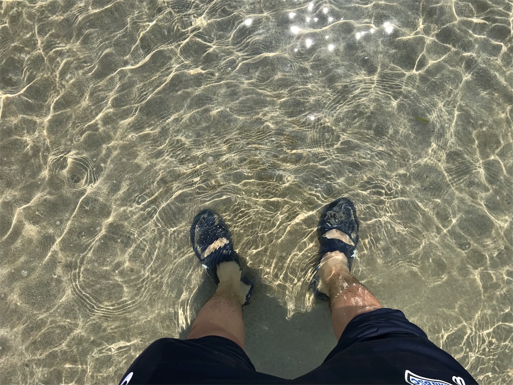 f:id:kosaku-tabi:20170701204927j:image f:id:kosaku-tabi:20170701204927j:image