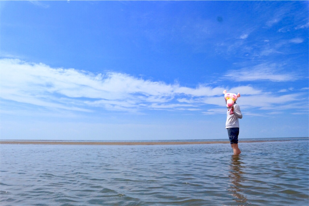 f:id:kosaku-tabi:20170713220802j:image f:id:kosaku-tabi:20170713220802j:image