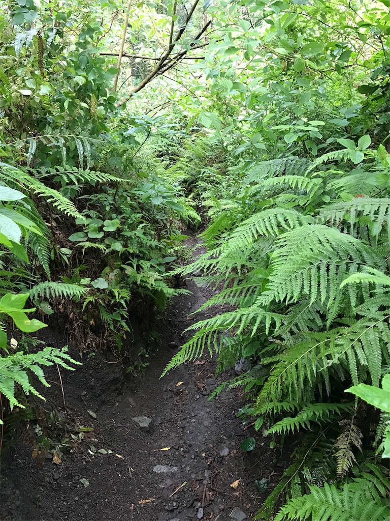 f:id:kosaku-tabi:20180523102743j:image