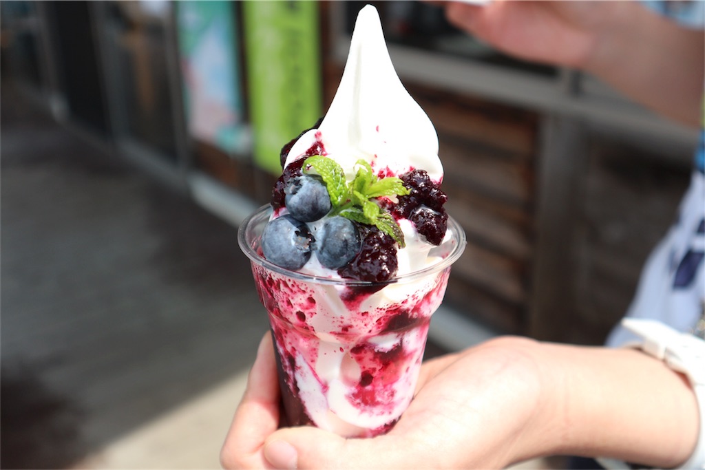 f:id:kosaku-tabi:20180619134014j:image f:id:kosaku-tabi:20180619134014j:image