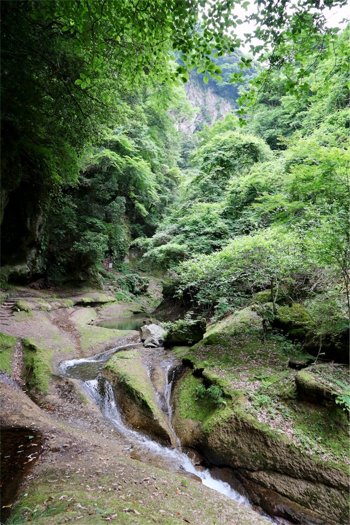 f:id:kosaku-tabi:20180620231638j:image f:id:kosaku-tabi:20180620231638j:image