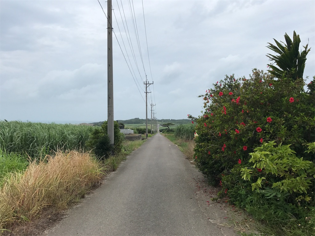 f:id:kosaku-tabi:20180709104450j:image f:id:kosaku-tabi:20180709104450j:image