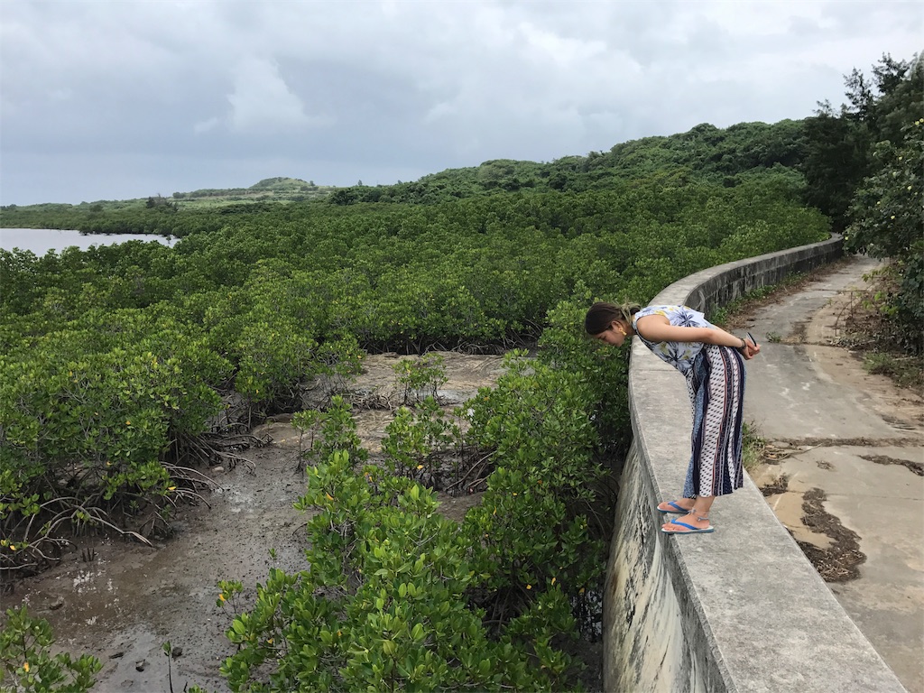 f:id:kosaku-tabi:20180709104626j:image f:id:kosaku-tabi:20180709104626j:image