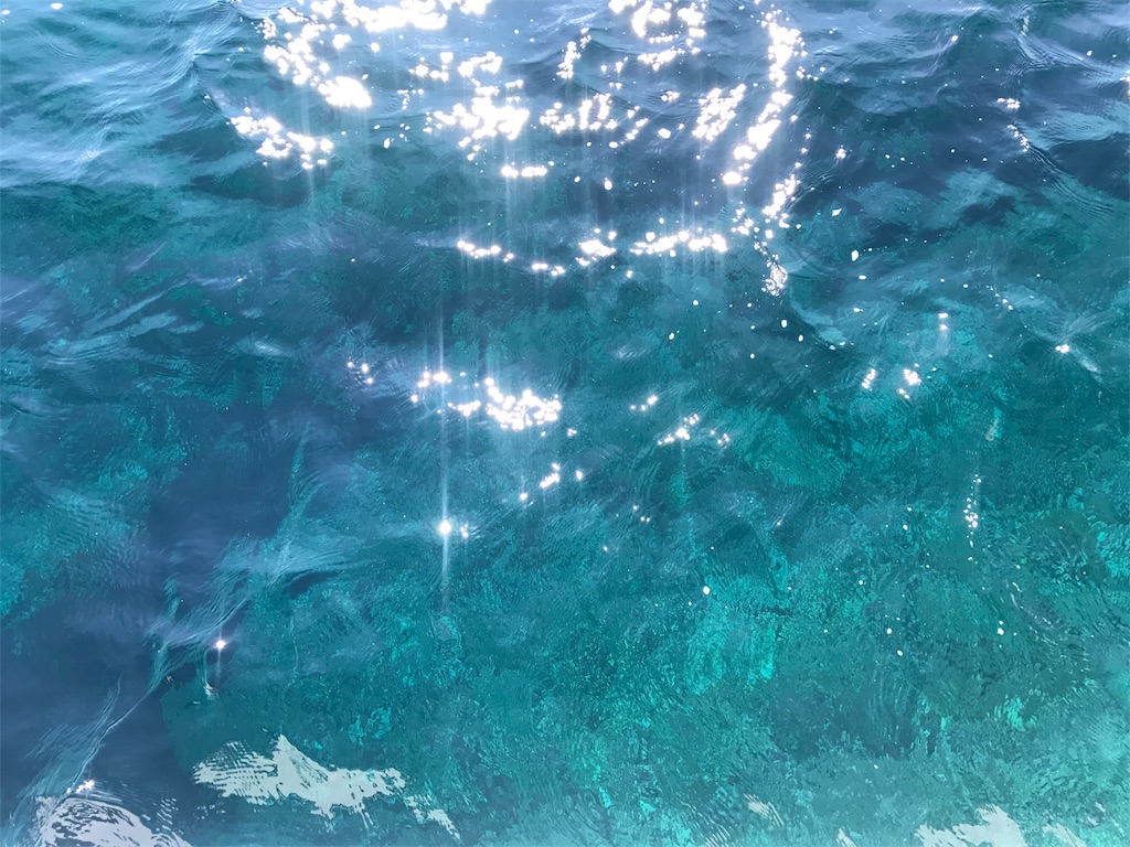 f:id:kosaku-tabi:20180709105316j:image f:id:kosaku-tabi:20180709105316j:image