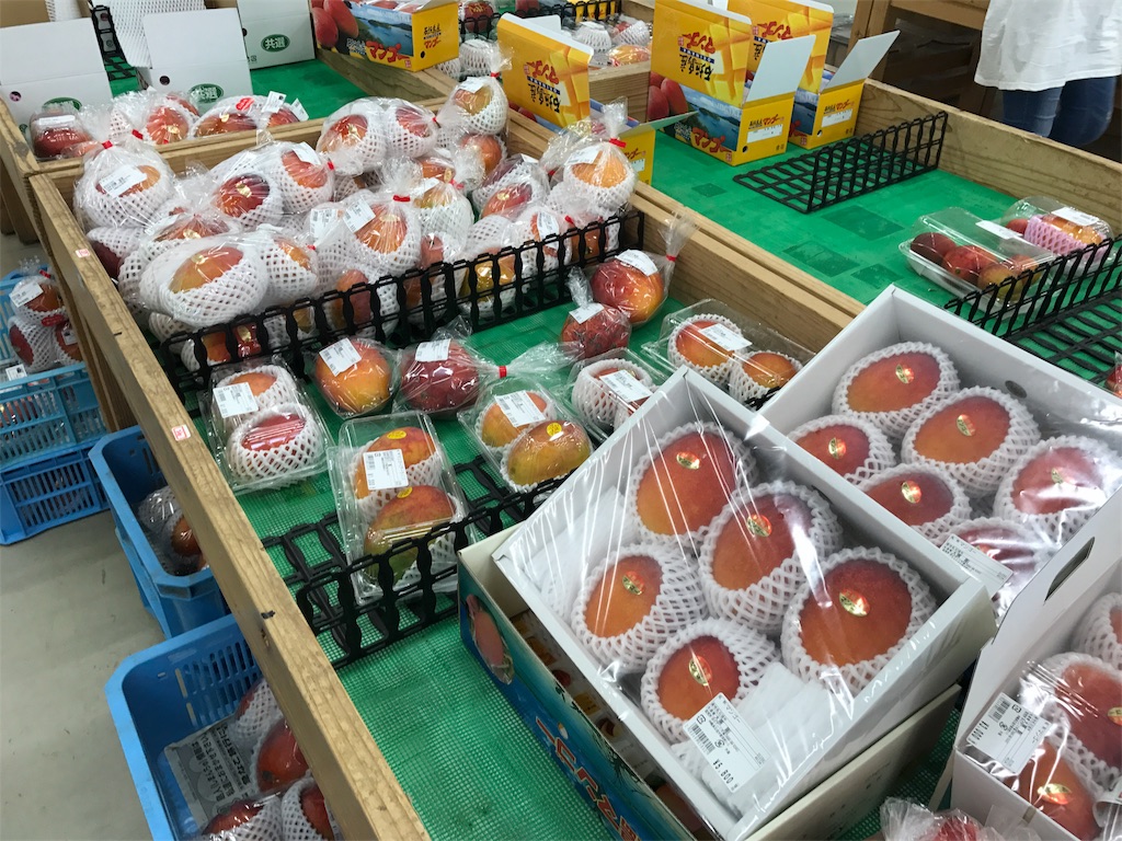 f:id:kosaku-tabi:20180709105334j:image f:id:kosaku-tabi:20180709105334j:image