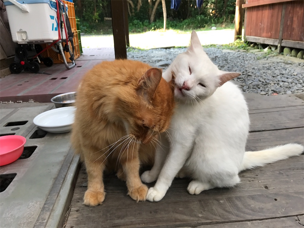 f:id:kosaku-tabi:20180715232820j:image