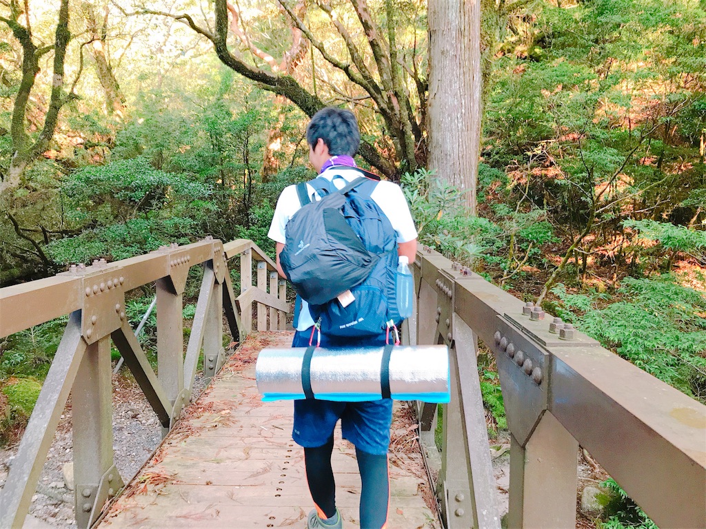 f:id:kosaku-tabi:20181015175723j:image f:id:kosaku-tabi:20181015175723j:image