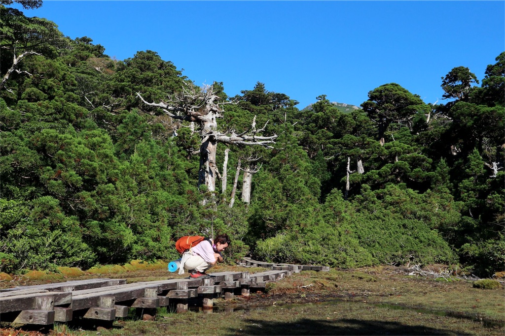 f:id:kosaku-tabi:20181015181808j:image f:id:kosaku-tabi:20181015181808j:image