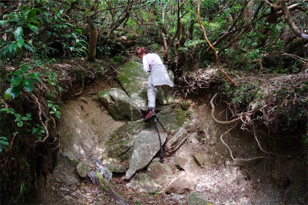 f:id:kosaku-tabi:20181022224751j:image f:id:kosaku-tabi:20181022224751j:image