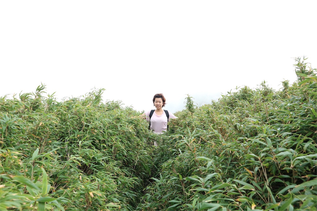 f:id:kosaku-tabi:20181022225836j:image f:id:kosaku-tabi:20181022225836j:image