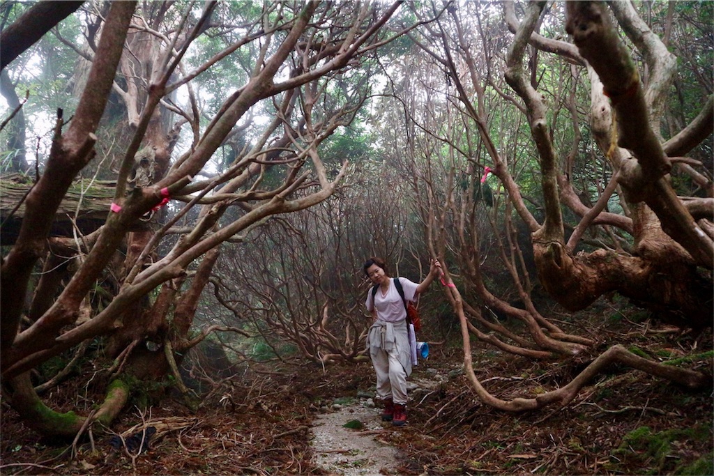 f:id:kosaku-tabi:20181022232805j:image f:id:kosaku-tabi:20181022232805j:image