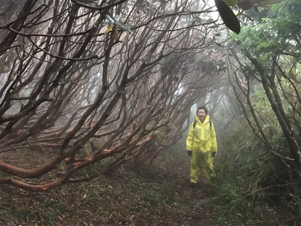 f:id:kosaku-tabi:20181024085513j:image f:id:kosaku-tabi:20181024085513j:image