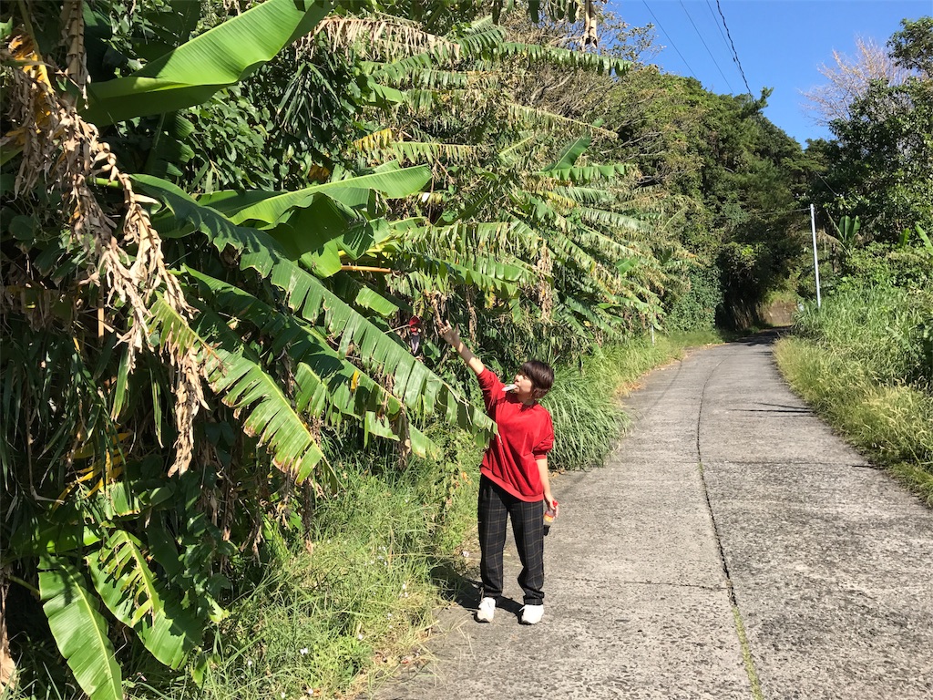 f:id:kosaku-tabi:20181031144838j:image f:id:kosaku-tabi:20181031144838j:image