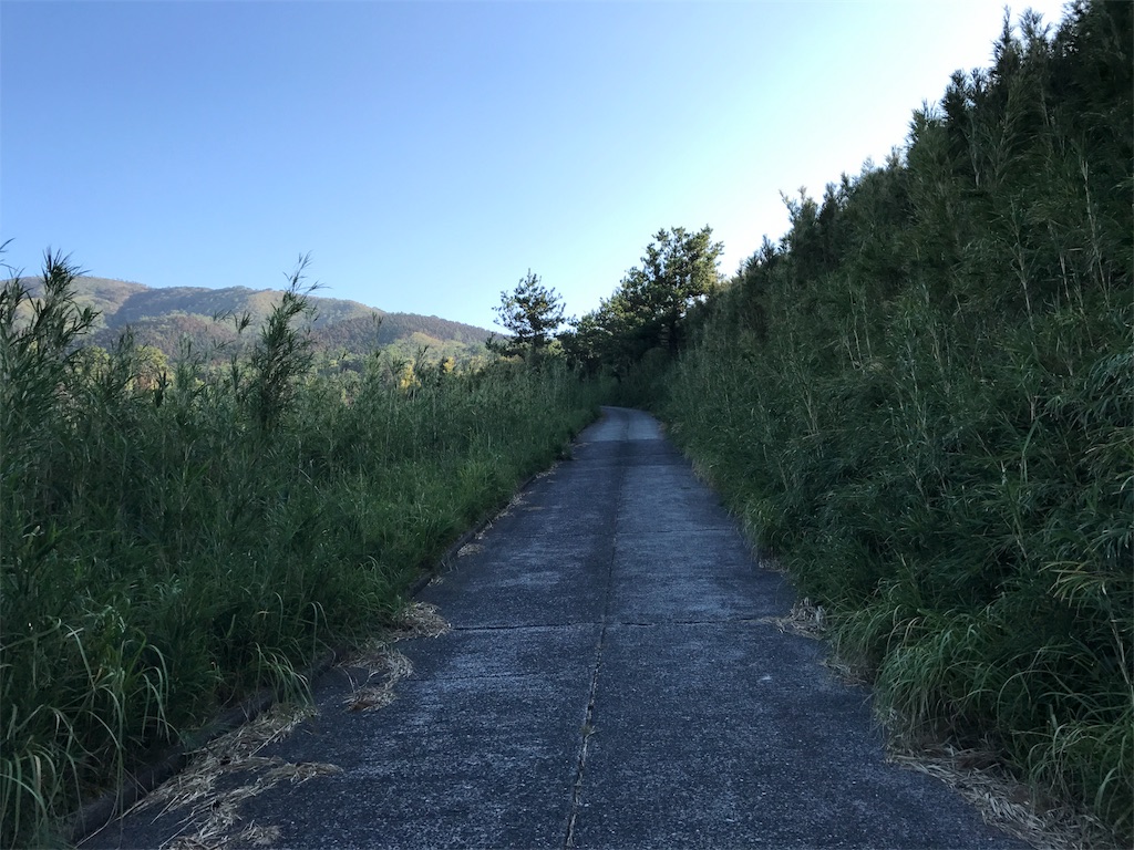 f:id:kosaku-tabi:20181031150717j:image f:id:kosaku-tabi:20181031150717j:image