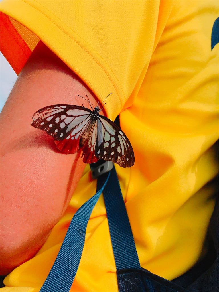 f:id:kosaku-tabi:20181031162022j:image f:id:kosaku-tabi:20181031162022j:image