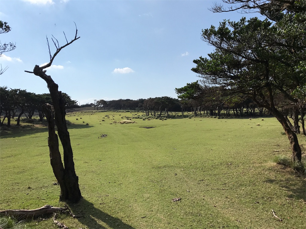 f:id:kosaku-tabi:20181031211611j:image f:id:kosaku-tabi:20181031211611j:image