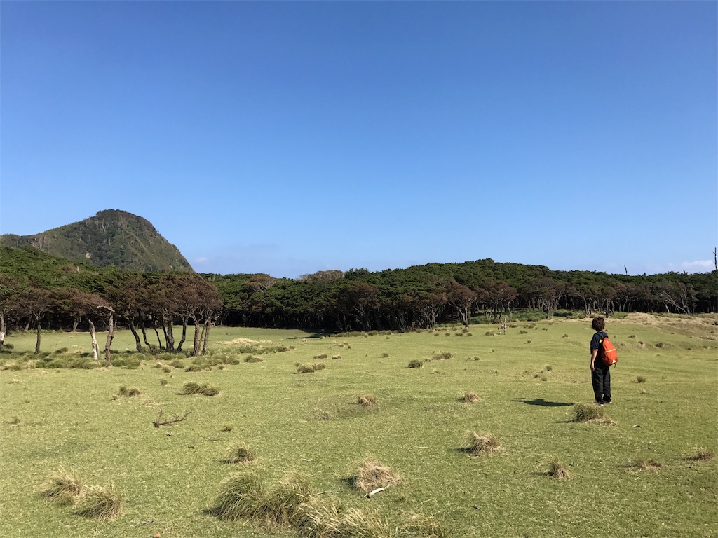 f:id:kosaku-tabi:20181031211615j:image f:id:kosaku-tabi:20181031211615j:image