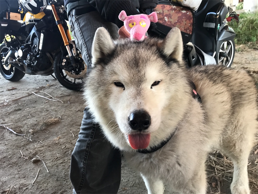 f:id:kosaku-tabi:20181113173457j:image f:id:kosaku-tabi:20181113173457j:image