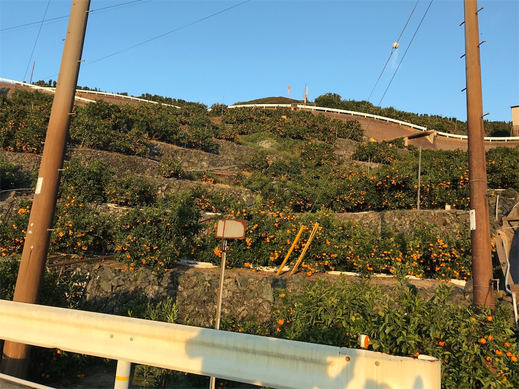 f:id:kosaku-tabi:20181115163652j:image f:id:kosaku-tabi:20181115163652j:image