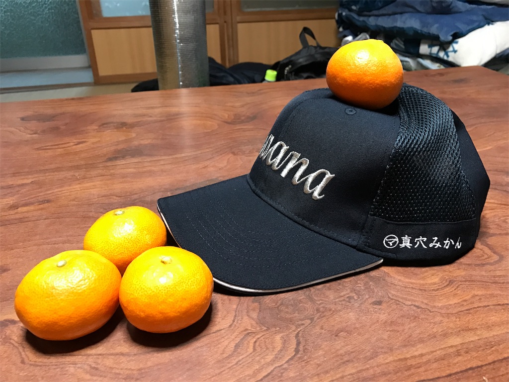 f:id:kosaku-tabi:20181115163745j:image f:id:kosaku-tabi:20181115163745j:image