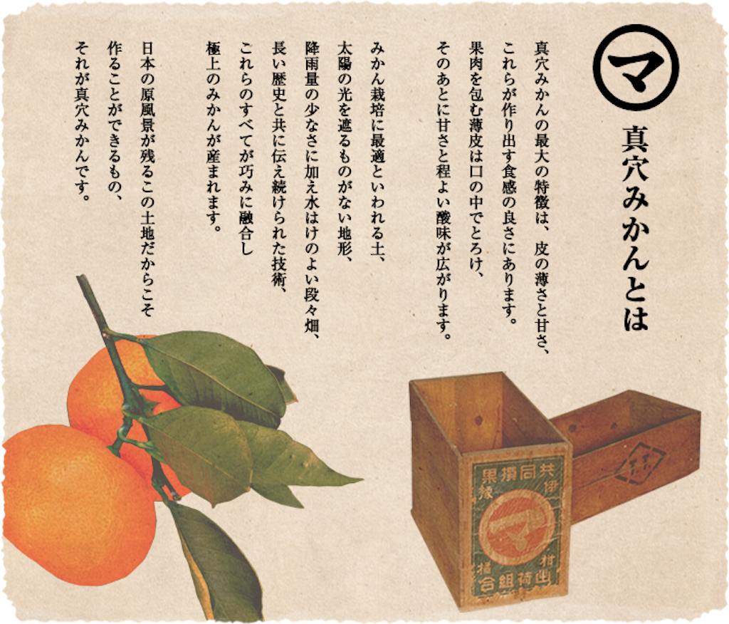 みかんアルバイト 真穴 フリーター 旅に出る