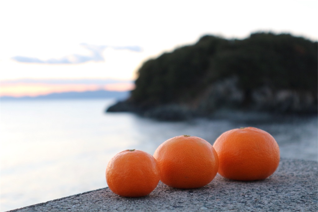 f:id:kosaku-tabi:20181219220208j:image f:id:kosaku-tabi:20181219220208j:image